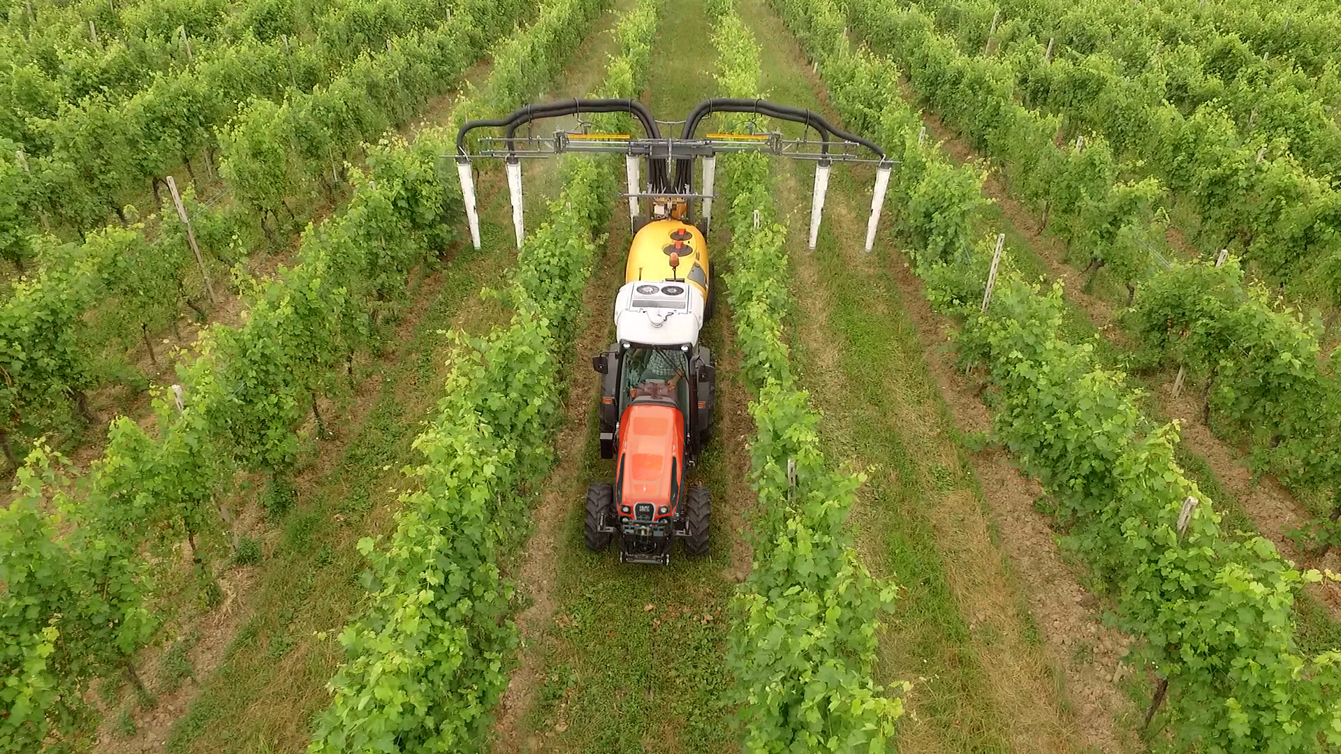 03 Connected Vineyard_3.jpg